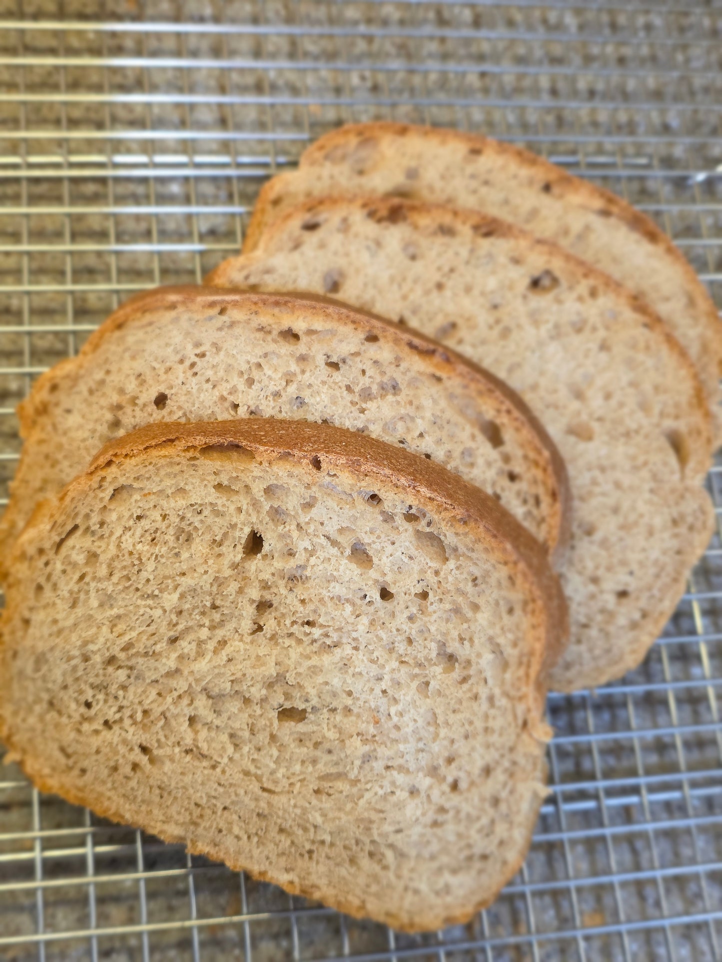 Wheat Sandwich Bread
